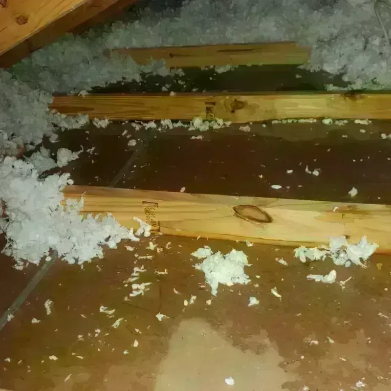 Attic Water Damage in Ridgeland, MS